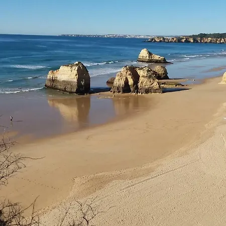 Figueira Portimão
