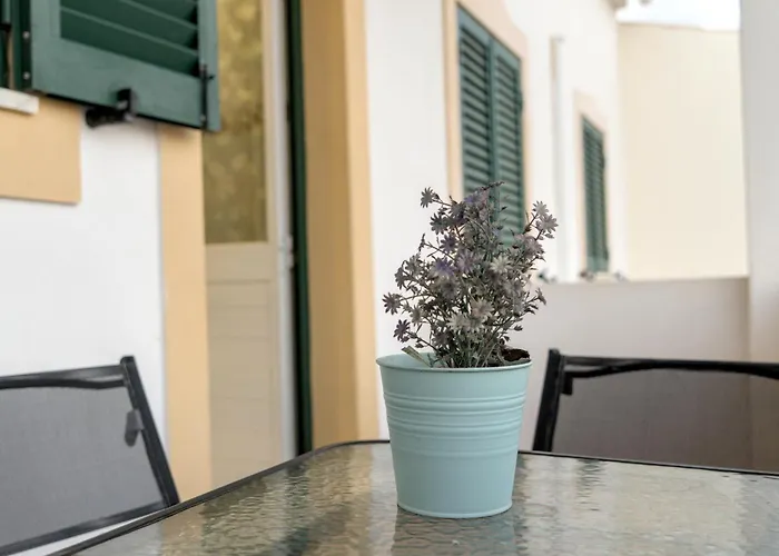 Figueira Dom wakacyjny *