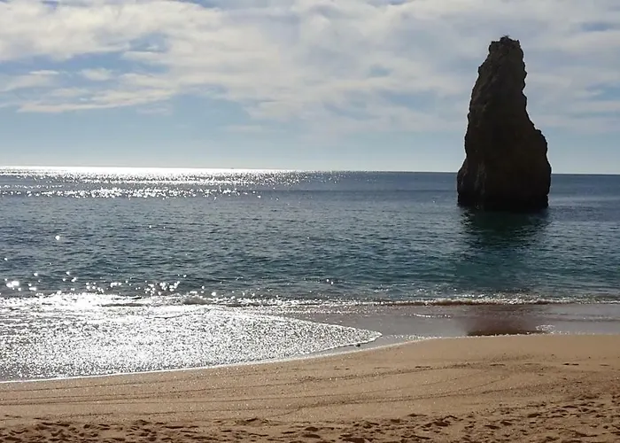 Dom wakacyjny Figueira