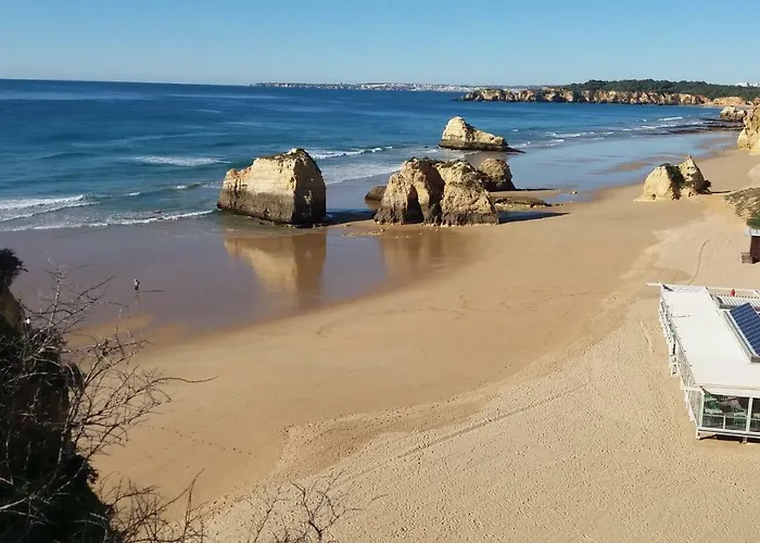 Figueira Портіман